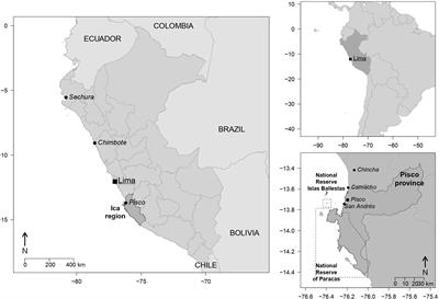 Contextualizing Scenarios to Explore Social-Ecological Futures: A Three Step Participatory Case Study for the Humboldt Current Upwelling System